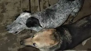 Пережить жару