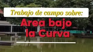 Trabajo de Campo: Área Bajo la Curva // Unimag