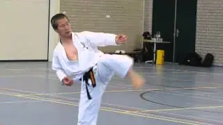 Kagawa-sensei demonstrating Uraken-uchi, yoko-geri keage and mae-empi combination 