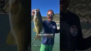 1 Easy Way To Pick The Best Lure Color #bassfishing