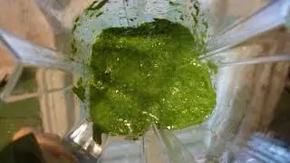 Рецепт кваса из кипрея