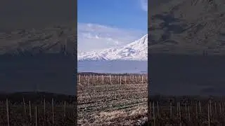 Величественный Арарат и монастырь Хор Вирап #armenia #армения #хорвирап #shorts #ararat