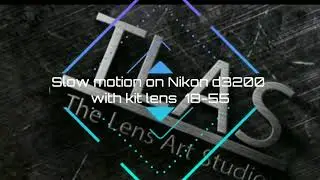 Slow motion on Nikon d3200 with flycam stabilizer