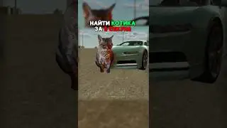 НАЙТИ КОТИКА ЗА 5 СЕКУНД #blackrussia #blackrussiacrmpmobile #gta #samp