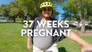 The BEST comfort bike | Specialized Roll 3.0 | Pregnant biking