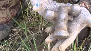 Поиски монет с П.С. и Л. Денежный коп! Полная исправленная версия