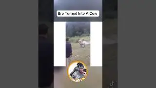 Bro Turned Into A Cow