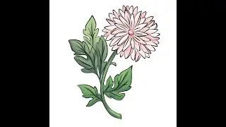 How to draw flowers Chrysanthemum/ Как рисовать цветы, Хризантема.