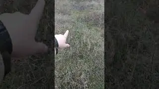 ДОН. СЛЕДЫ ВОЙНЫ.