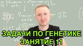 Задачи по генетике - 11. Сцепление генов