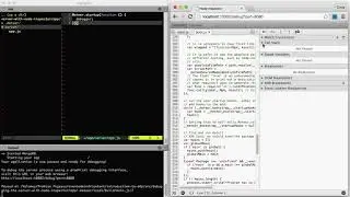 4  Debugging the Server with Node Inspector