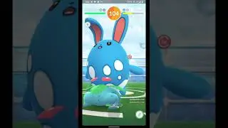 T3 Azumarill Solo (Pokemon Go)