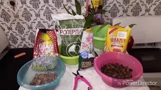 Идеальный грунт для орхидей.Мой вариант😉Зигопеталлум😍