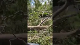 Hit by a tornado. clean up time #storm #warzone #diy