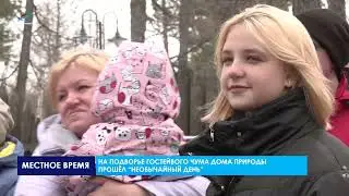 На подворье гостевого чума Дома природы прошел необычайный день
