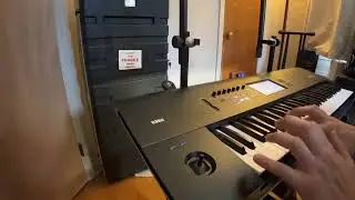 Stillborn (full) on a keyboard