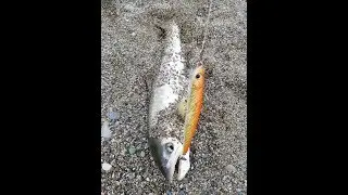 Рыбалка на Измене!