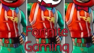 Fortnite Fellows
