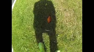 Ловля золотого карася.