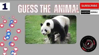 Guess the 5 animal by the picture ?