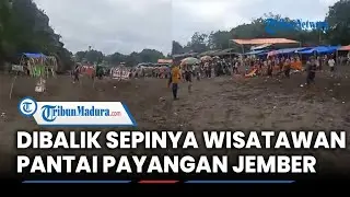 Wisatawan di Panti Payangan Jember Menurun Drastis saat Libur Lebaran 2024, Ini Sebabnya