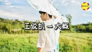 王俊凯 - 大概『说遗忘 我还在斟酌，当你仍是我 心虚的拥有。』【动态歌词MV】
