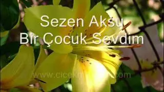 Sezen Aksu - Bir Çocuk Sevdim - http://www.cicekmerkezi.com