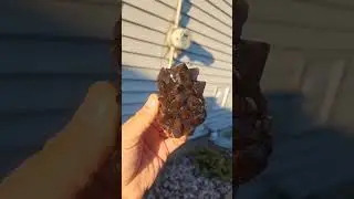 Thunderbay Smoky Amethyst, fresh cleaned.