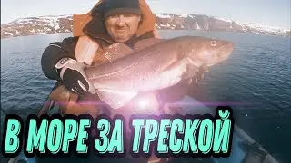 В БАРЕНЦЕВО МОРЕ ЗА ТРЕСКОЙ НА ЛОДКЕ. СУРОВАЯ КРАСОТА СЕВЕРА.