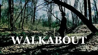 Walkabout | Reflective Short Film/Video Log