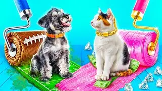 بنينا بيت سرى للحيوانات الأليفة ! كلب فقير مقابل قط غنى