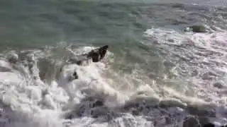 Mare mosso Genova Crevari 18.11.2014