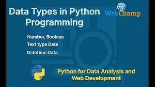 Python 3: Data Types in Python || Importance of Data Types in Programming | Number | Text | Datetime