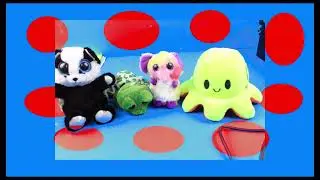 Red Nose Day Vs Purple Nose Day By Kristian Star Moore and Britt Sunny Allcroft