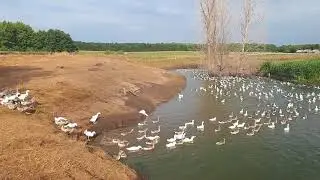 Приступаем к водным процедурам.