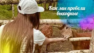 КАК МЫ ПРОВЕЛИ ВЫХОДНЫЕ | ПОЕЗДКА В КОПОРЬЕ | СЪЕЗДИЛИ В БАРБЕРШОП
