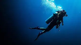 Soldiers help US scientists to save coral reefs || Universalcomplex || Natural