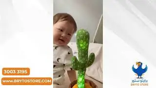 Dancing Cactus - الصبار الراقص