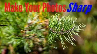 How to Take Sharp Photos! With Canon EOS R7