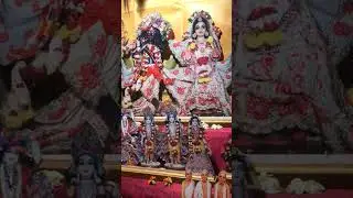 Nothing can give you Happiness and satisfaction except Harinaam 🙏 #shorts #iskcon #krishna
