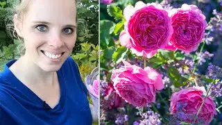 Rose Tour & Floating Blooms! | Simply Bloom