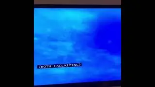Marlin and dory scream exit Mario screaming