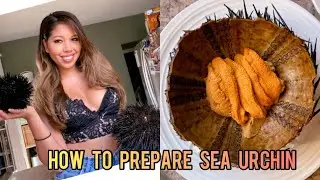 How to Prepare Sea Urchin