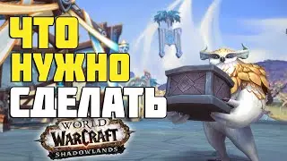УСПЕЙ ЭТО СДЕЛАТЬ 😎 ЧТО НУЖНО СДЕЛАТЬ ДО ВЫХОДА SHADOWLANDS
