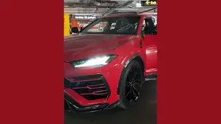 Gritaba Arriba Guasave 🚗🔥 - Enigma Norteño