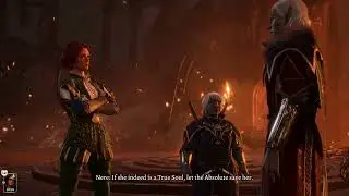 Baldur's Gate 3: Why do bards have the best dialogue, though?