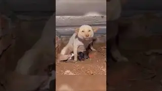 ХРАНИ ГОСПОДЬ ТАКИХ ЛЮДЕЙ😭