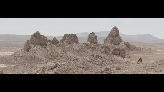 DIIV // Blankenship (Official Video)