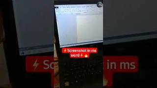 How to take screenshot in MS Word? 