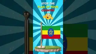 Stop The Flag Of Your Country If You Can 😎 